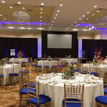Corporate — VIP Events